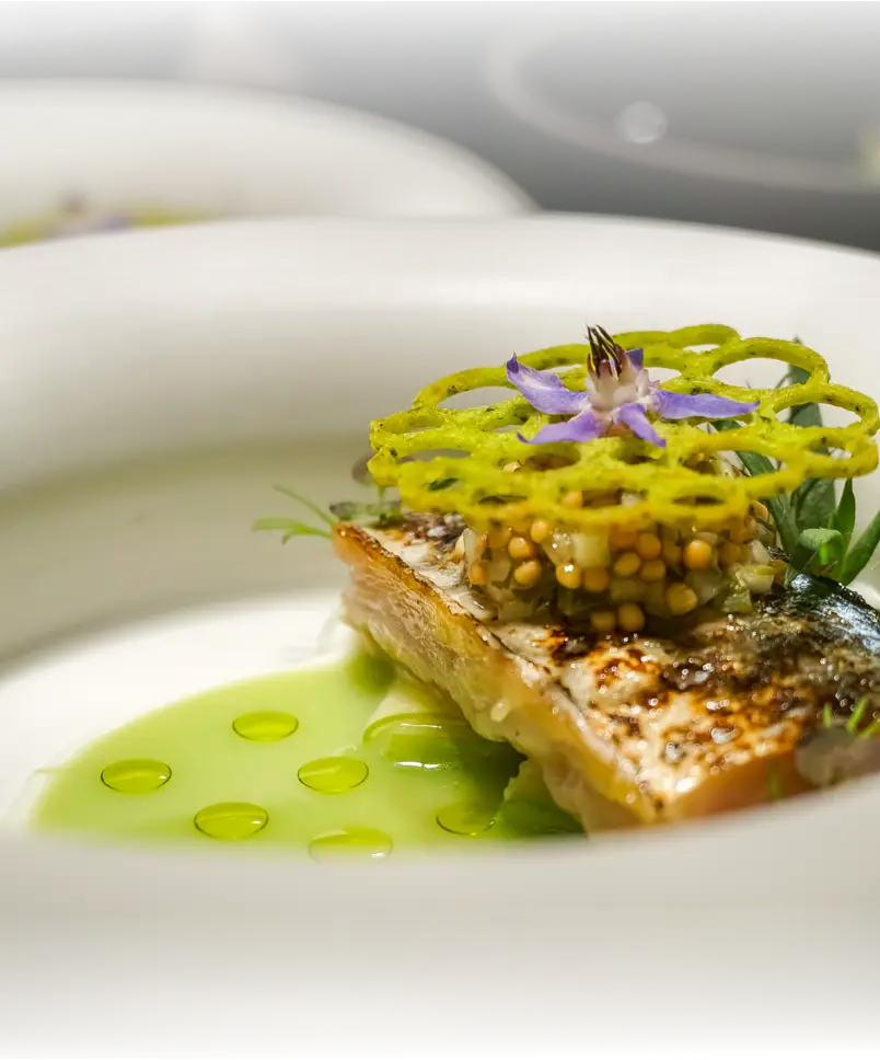 Mary Jane Space Interior